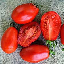 Martino's Roma - Tomato Plant