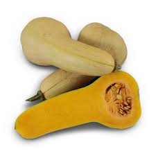 Butterbush Butternut - Squash Start