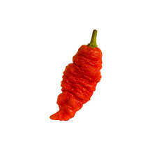 Death Spiral - Hot Pepper Plant