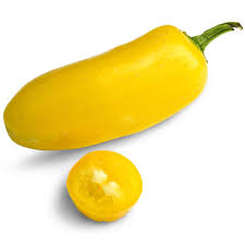 Lemon Spice Jalapeño - Hot Pepper Plant