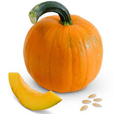 Sugar Pie - Pumpkin Start