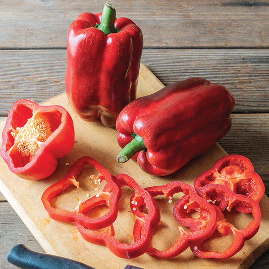 Frodo - Bell Pepper Plant