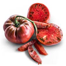 Chocolate Miracle - Tomato Plant