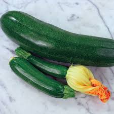 Fordhook Zucchini - Squash Start
