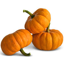 Jack B Little - Pumpkin Start