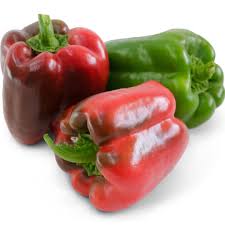 King of the North - Bell Pepper Plant