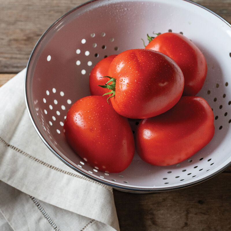 Kuzco - Tomato Plant