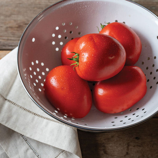 Kuzco - Tomato Plant