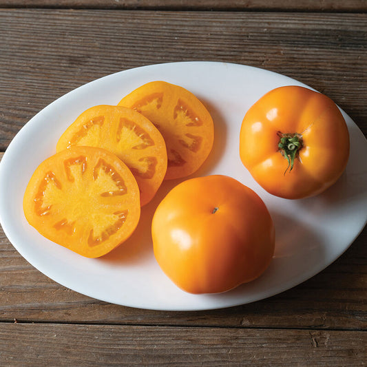 Marmalade Skies - Tomato Plant