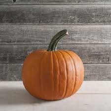 Racer - Pumpkin Start